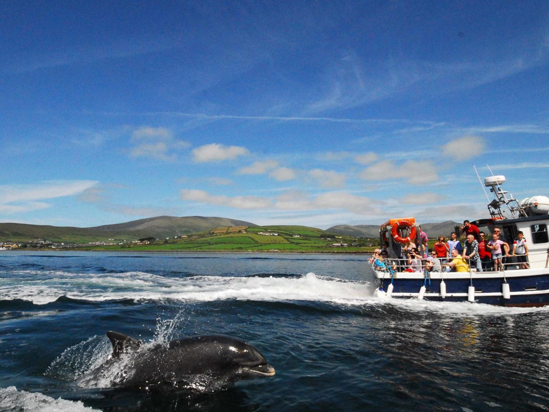 Cois Chnoic Holiday Home Dingle By Trident Holiday Homes Exteriör bild